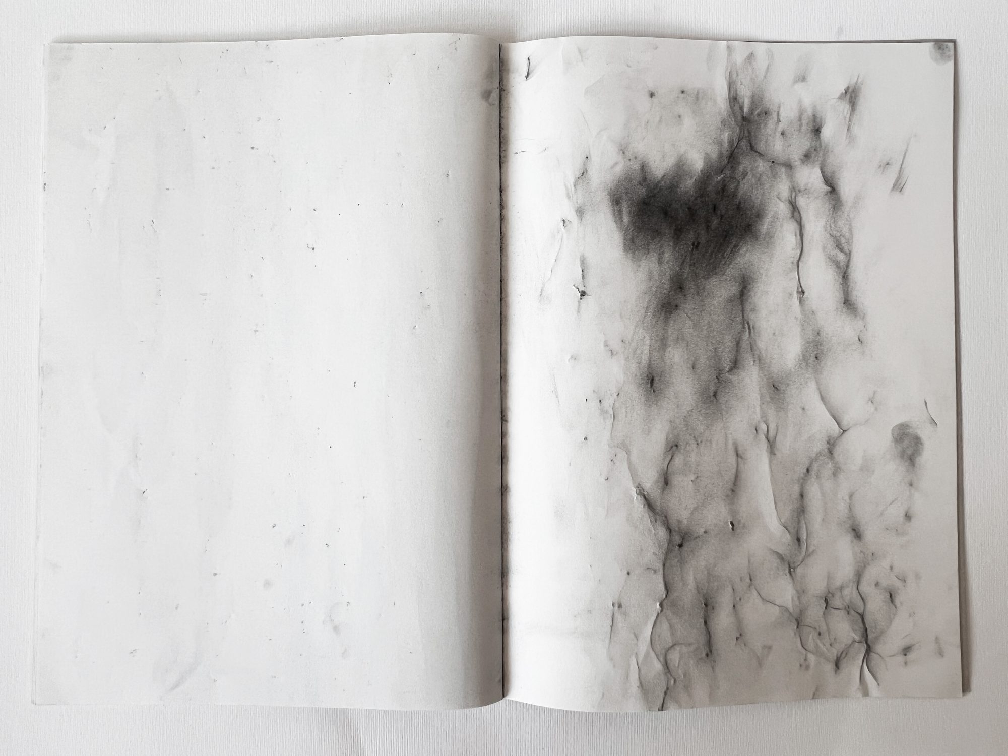 Wood touching wood — Charcoal · 2025 by Nilu Ghorbani, Düsseldorf